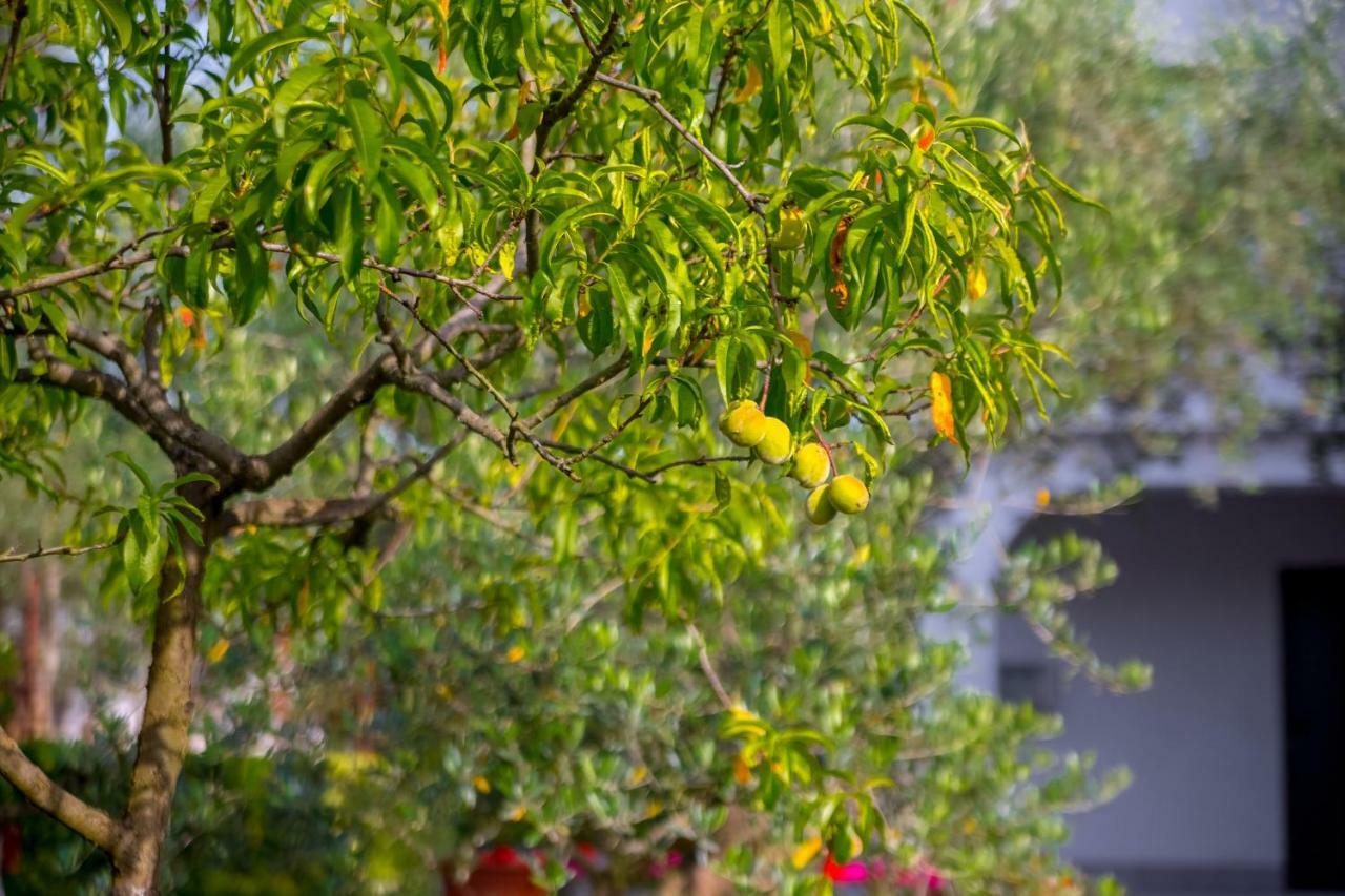 Garden Paradise App Sveti Vid-Miholjice Exterior photo